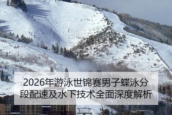 nian-you-yong-shi-jin-sai-nan-zi-die-yong-fen-duan-pei-su-ji-shui-xia-ji-shu-quan-mian-shen-du-jie-xi-2-462.jpg